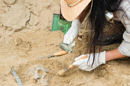 marketers think like anthropologists